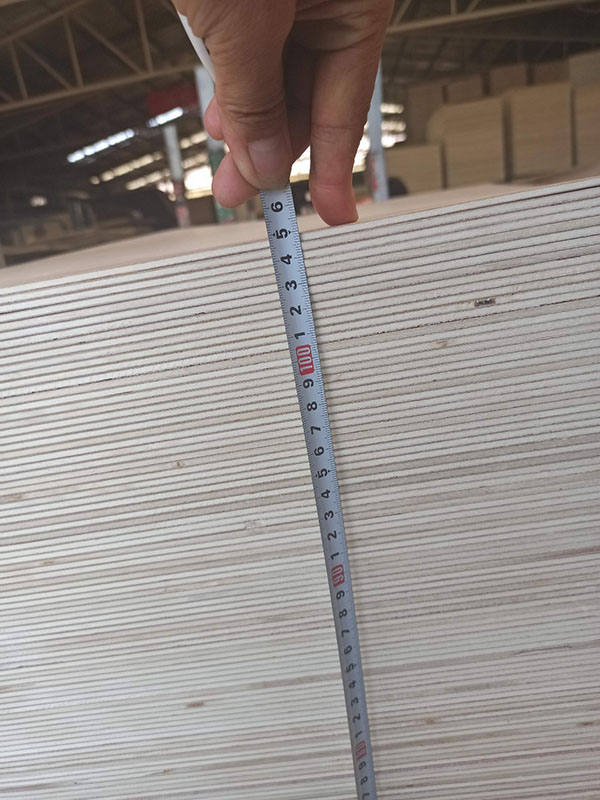 OSTIUM plywood supellectilem ac door12 "